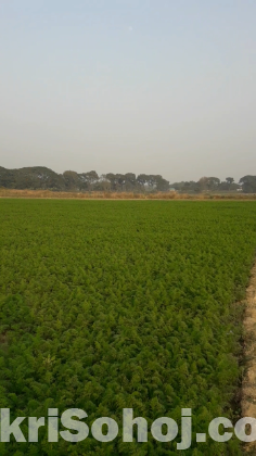 এই জমি বিক্রি করা হবে